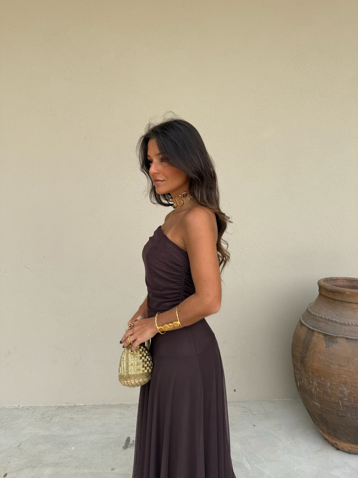 Toledo Dress in Brown - Shipping 20/10