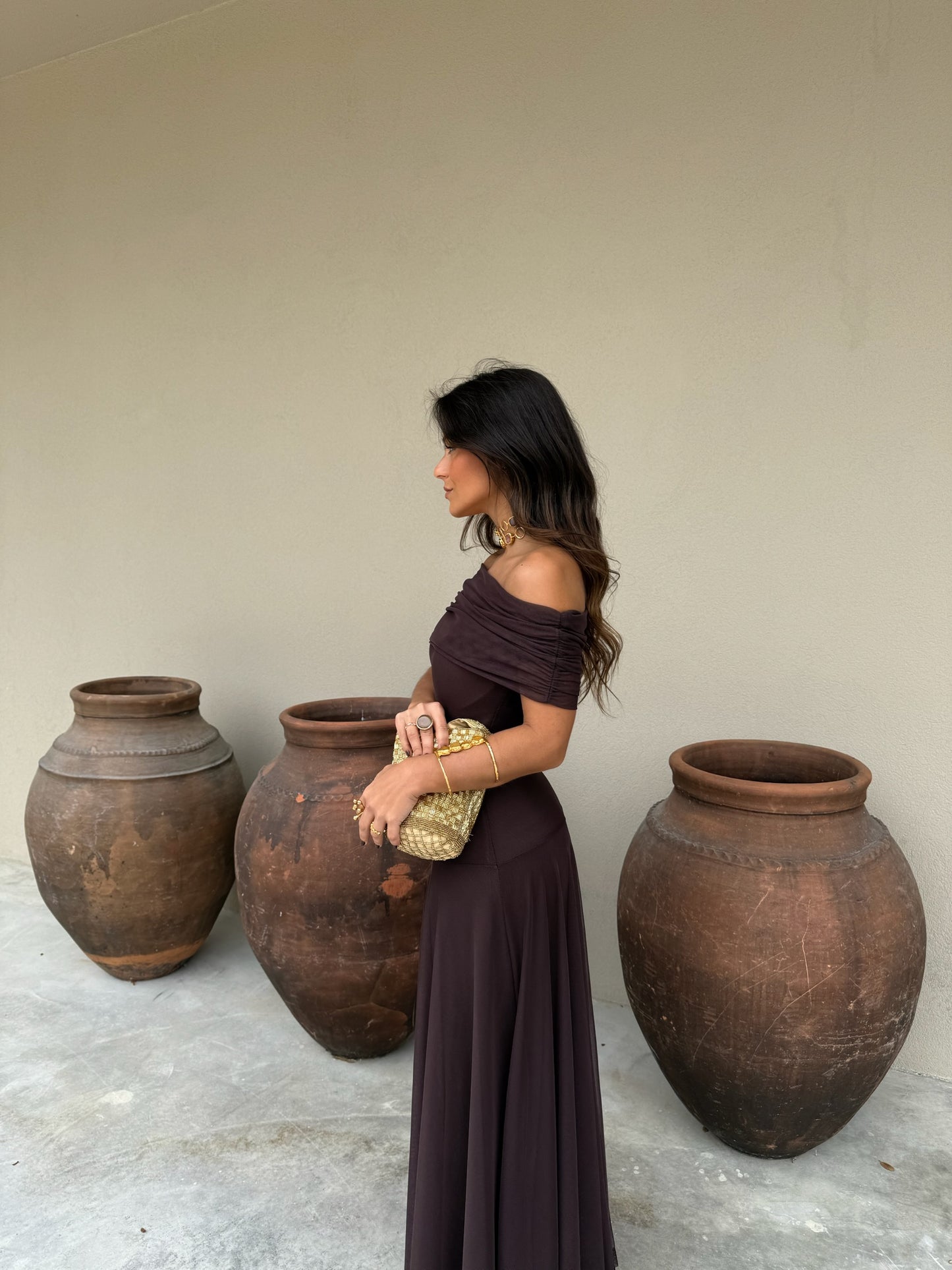 Toledo Dress in Brown - Shipping 20/10