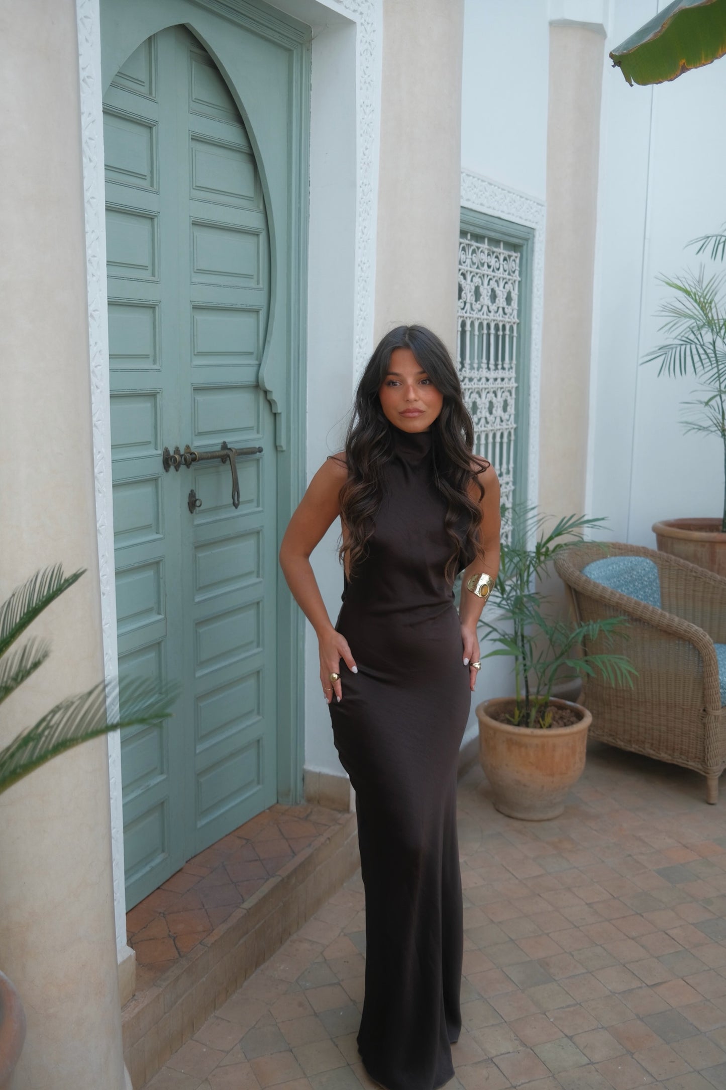 Vega Dress in Brown