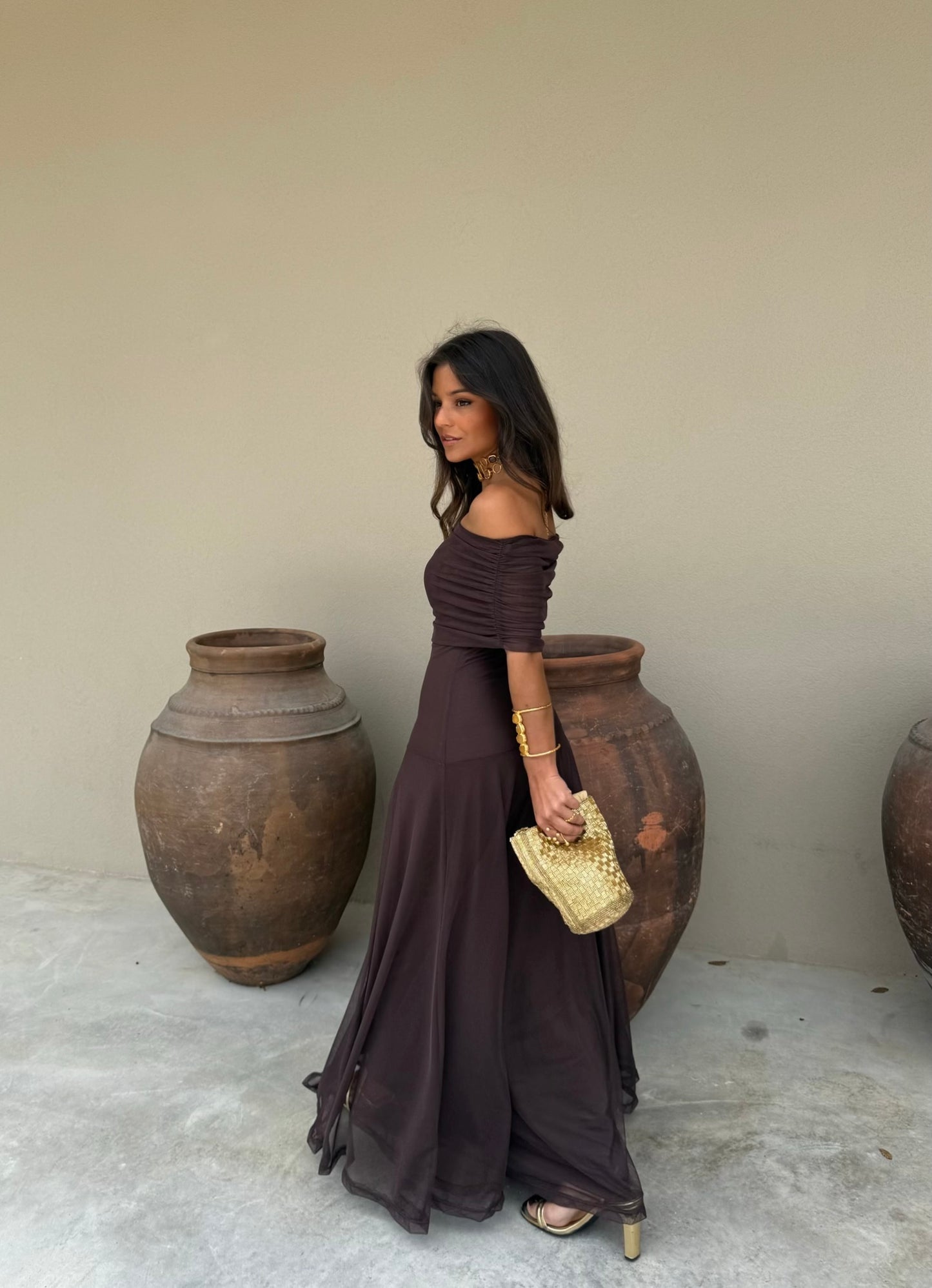 Toledo Dress in Brown - Shipping 20/10