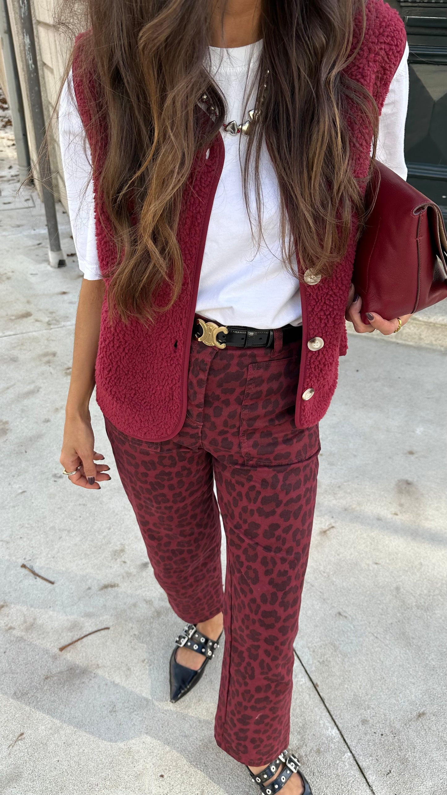 Limited Edition Animal Print Pants in Burgundy