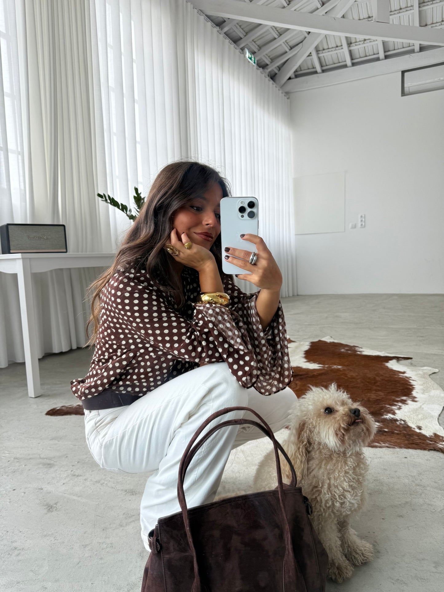 Polka Dot Blouse in Brown