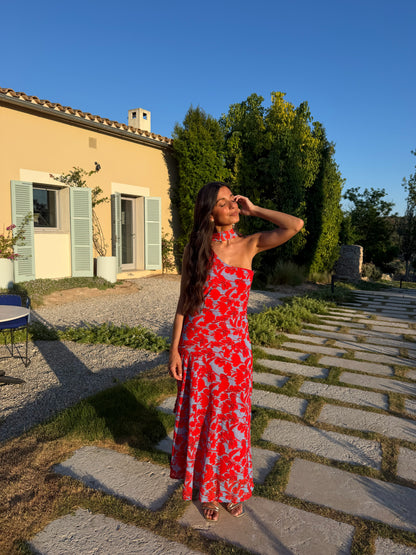 Siena Dress in Blue and Red