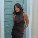 Vega Dress in Brown