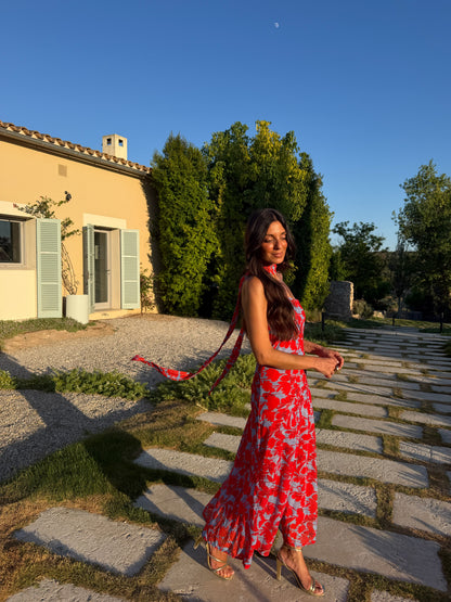 Siena Dress in Blue and Red