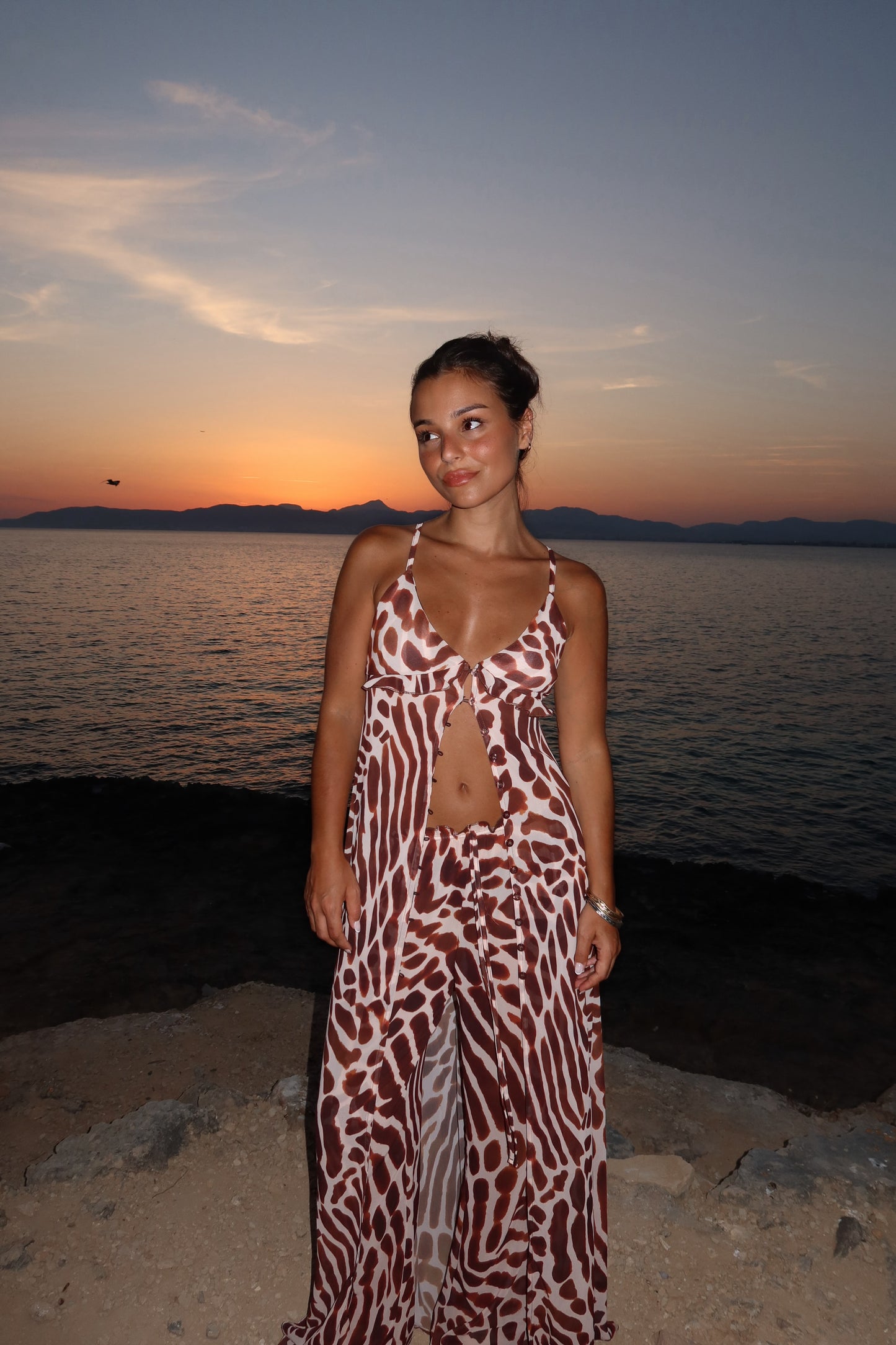 Giraffe Print Pants