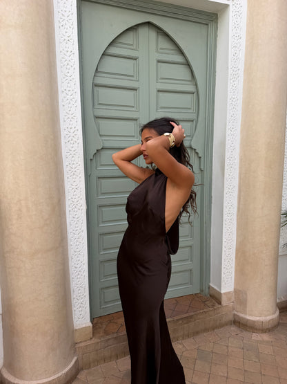 Vega Dress in Brown