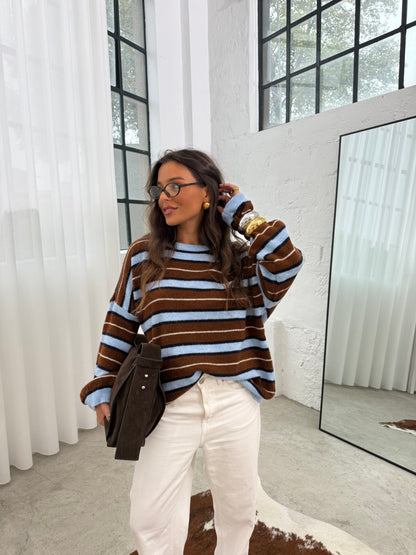 Brownie and Blue Sweater