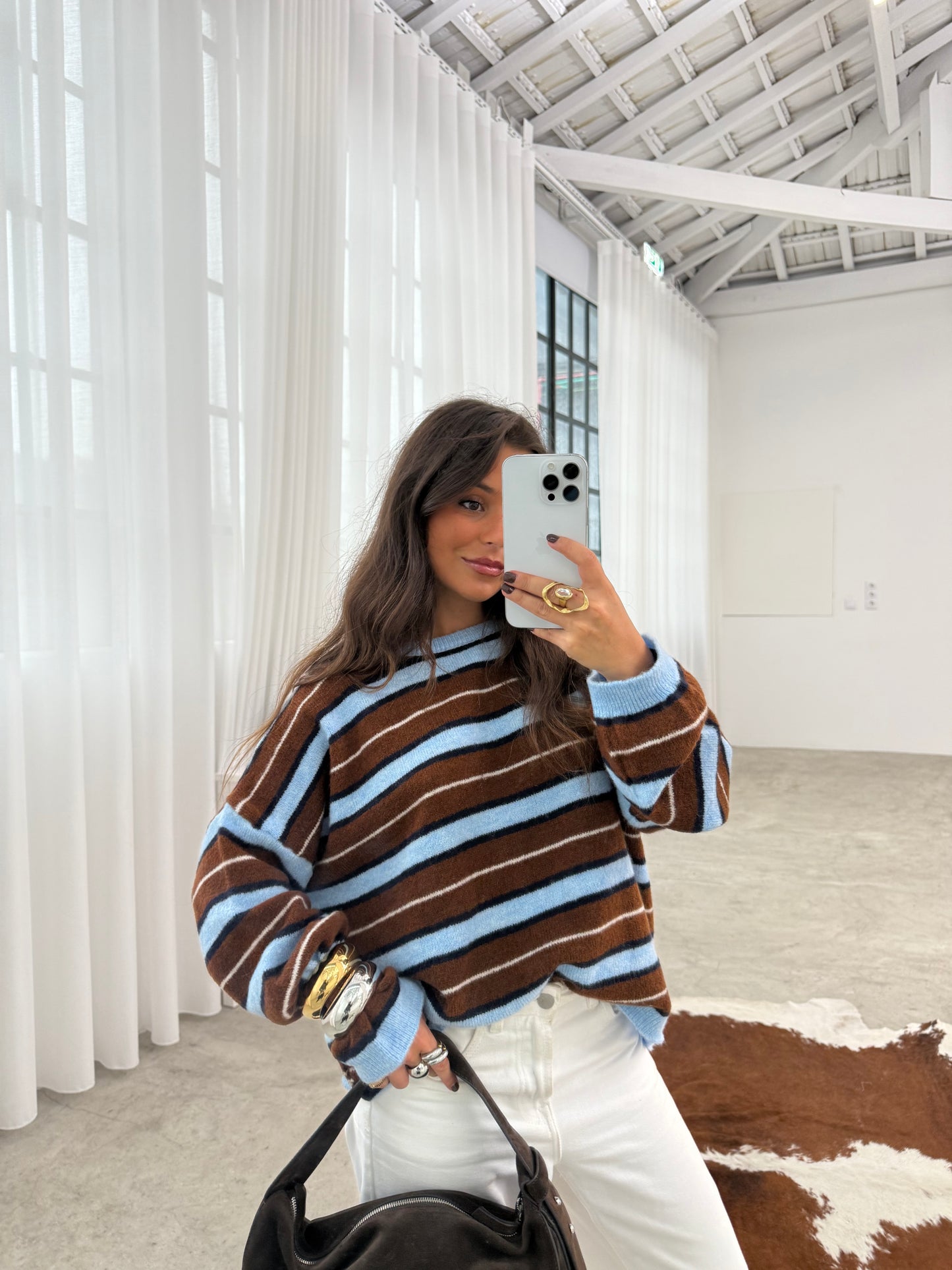 Brownie and Blue Sweater