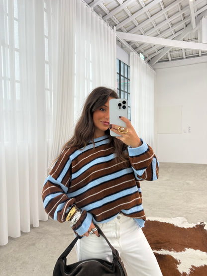 Brownie and Blue Sweater