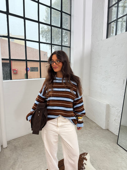 Brownie and Blue Sweater